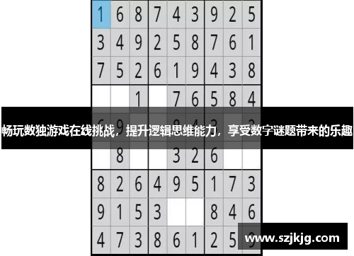 畅玩数独游戏在线挑战，提升逻辑思维能力，享受数字谜题带来的乐趣